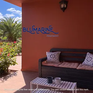 Tamarindo Blumarine - Pool & Wifi Free 4 Persons Apartamento Corralejo